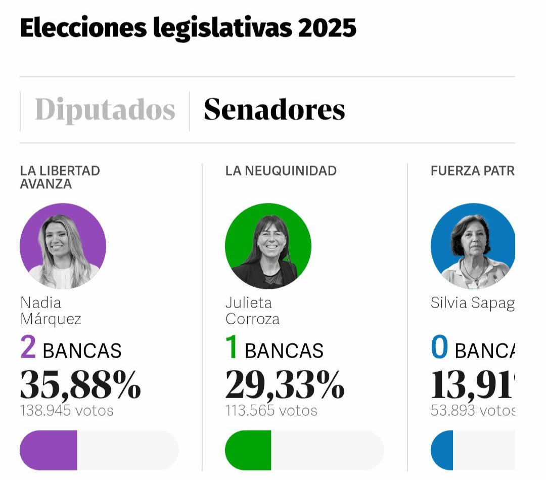 Resultados de las elecciones legislativas 2025 en Neuquén
